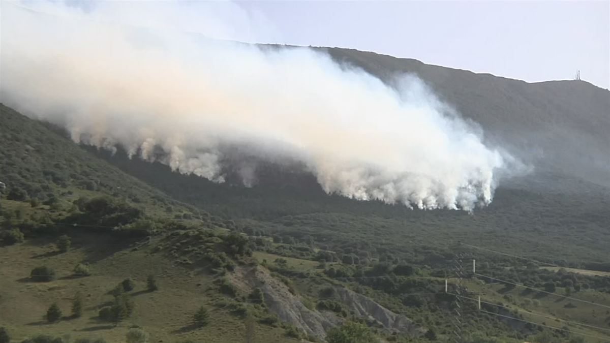 Bomberos tratan de sofocar el incendio declarado ayer en la sierra de Leire