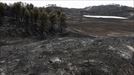 La zona afectada por el fuego en Tafalla. Foto: EFE title=