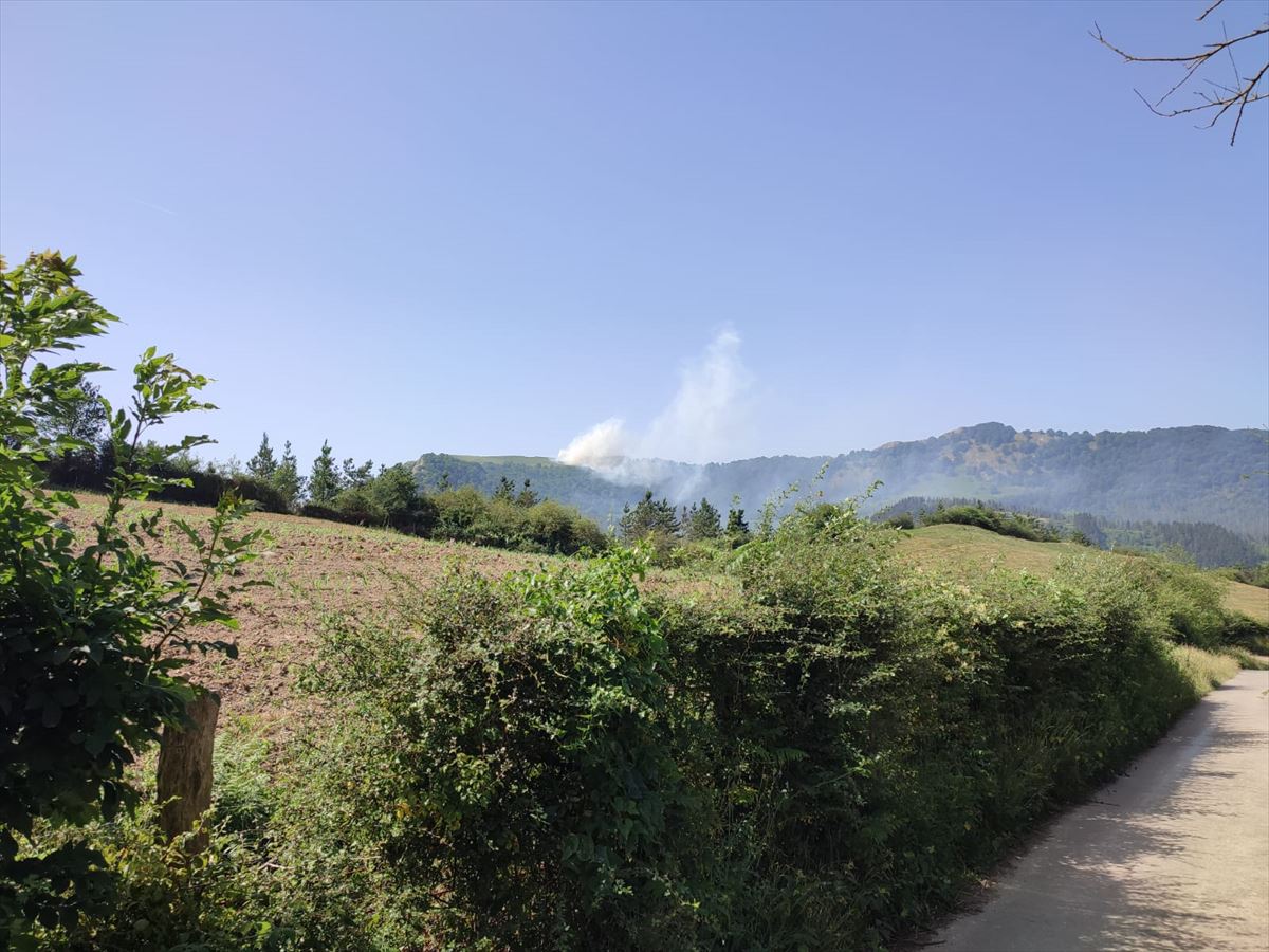 Incendio forestal en el monte Arastortz, entre Ataun y Zaldibia. Foto: Zaldibiko Udala 