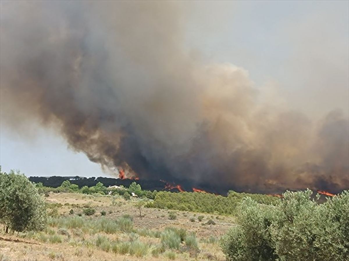 Columna de humo generada por el incendio cercano al parque Sendaviva. Foto: @Mar_mo_tilla