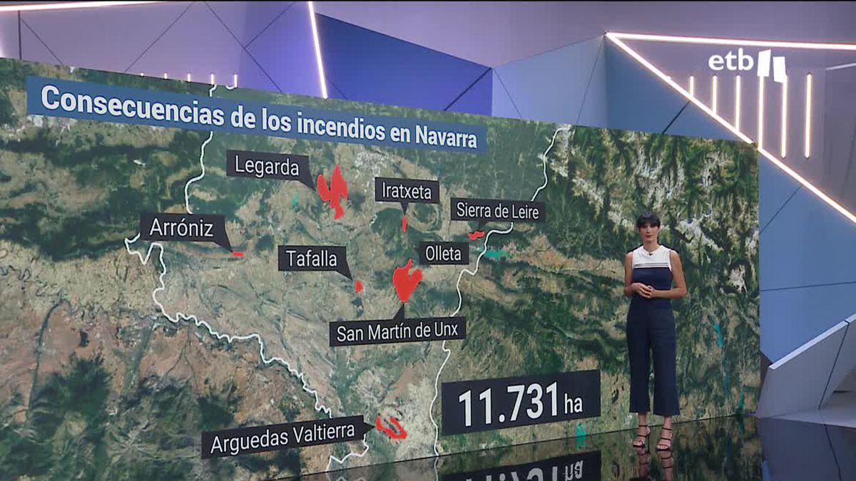 Los incendios en Navarra calcinan unas 12.000 hectáreas