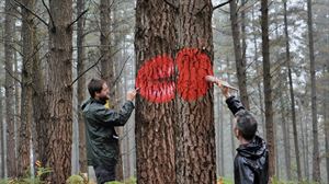 El nuevo Bosque de Oma podrá visitarse, mediante reserva previa, durante este verano
