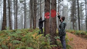 Abierto al público el nuevo Bosque de Oma de Agustín Ibarrola