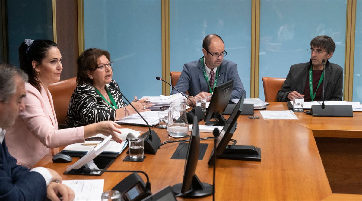 La comisión, reunida en el Parlamento Vasco. Imagen de archivo: EITB