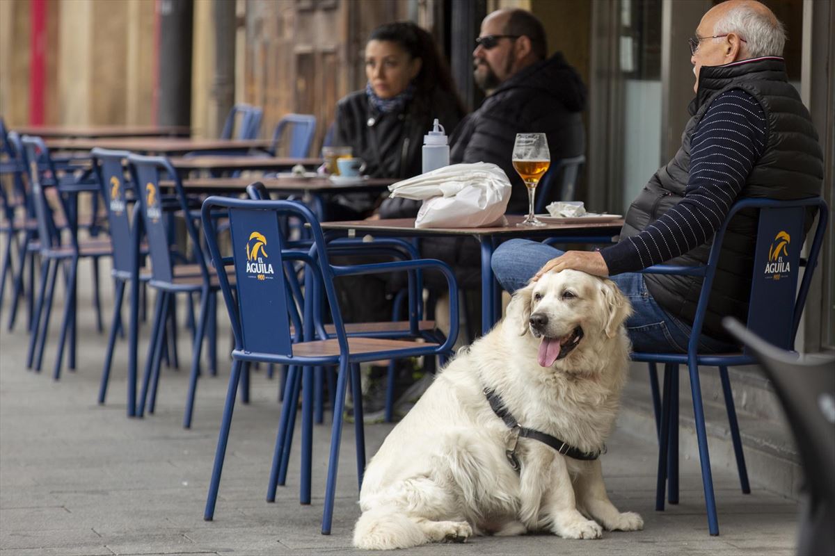 Un perro en una terraza de Vitoria-Gasteiz. 