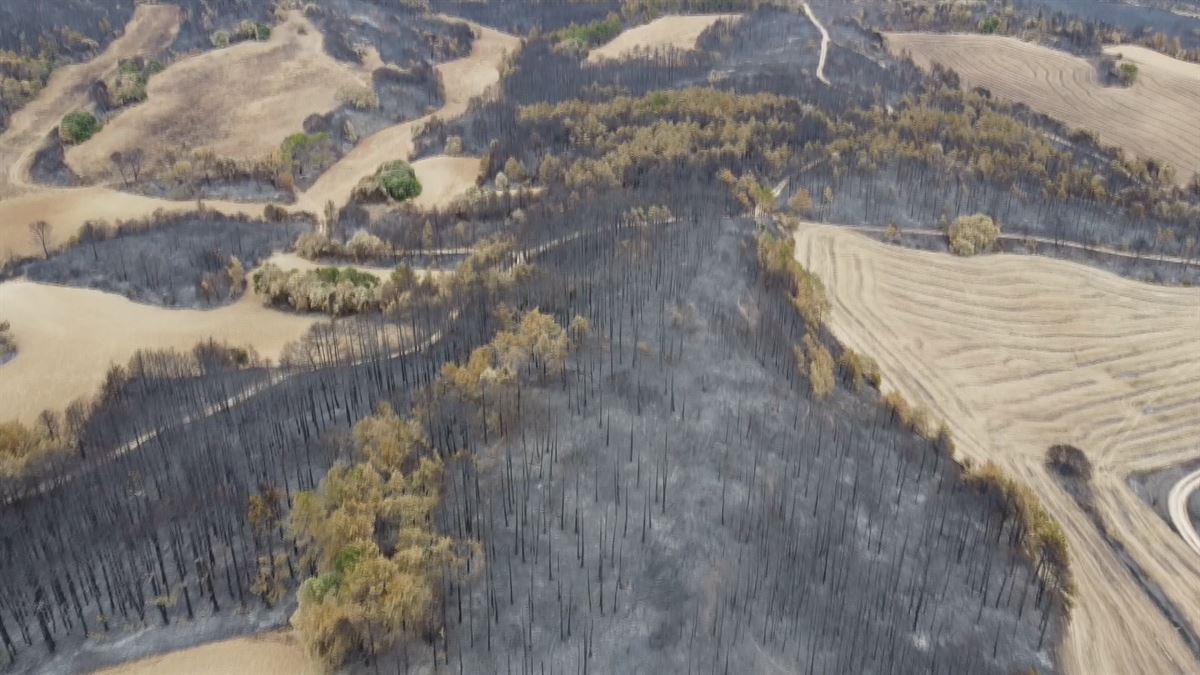 Incendios en Navarra. Imagen obtenida de un vídeo de EITB Media.