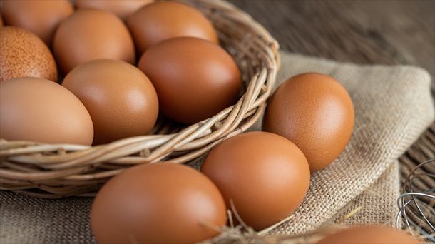 Los huevos han subido mucho su precio en un año