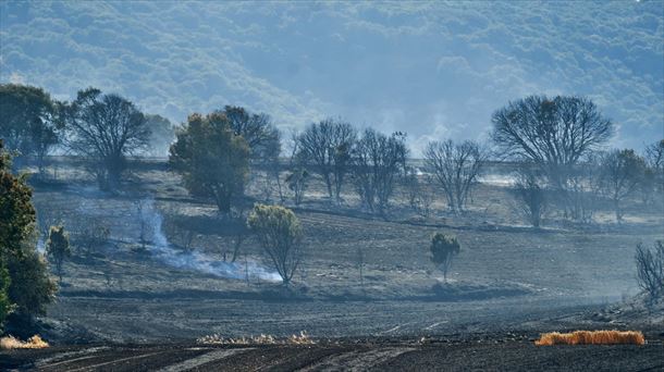 Mendozan izandako sutea. Artxiboko argazkia: EFE