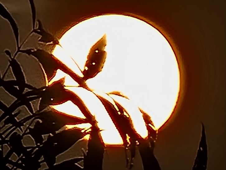 Oñati. Gurutze Azcarate