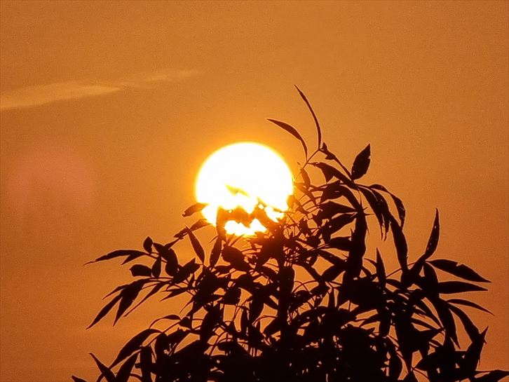 Oñati. Gurutze Azcarate