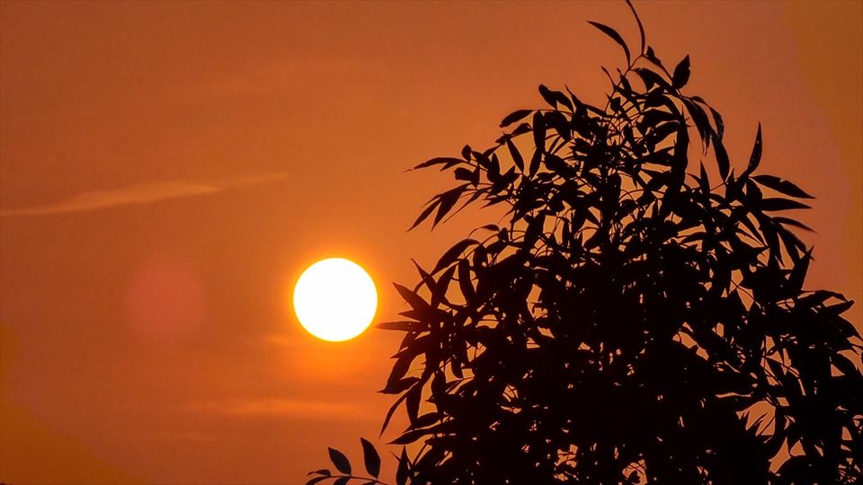 Oñati. Gurutze Azcarate