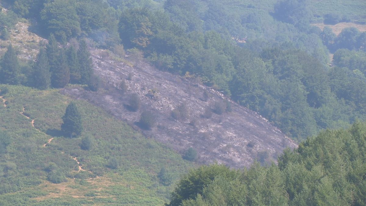 Incendio en Areso. Imagen obtenida de un vídeo de EITB Media.