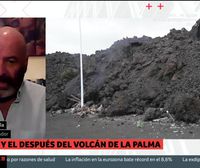 Antonio Aretxabala, geólogo: Sigue habiendo gases y no se puede vivir en las casas cercanas al volcán