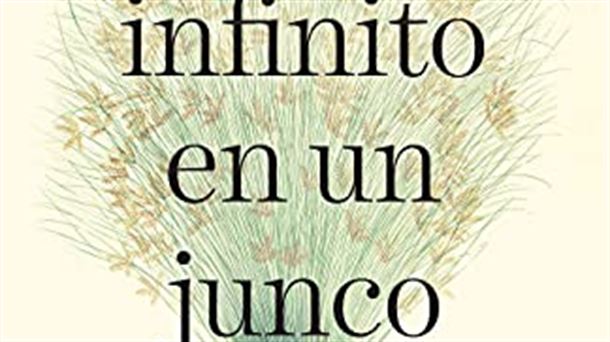 Irene Vallejoren “El infinito en un junco” ari da irakurtzen egunotan Lizar Begoña idazlea