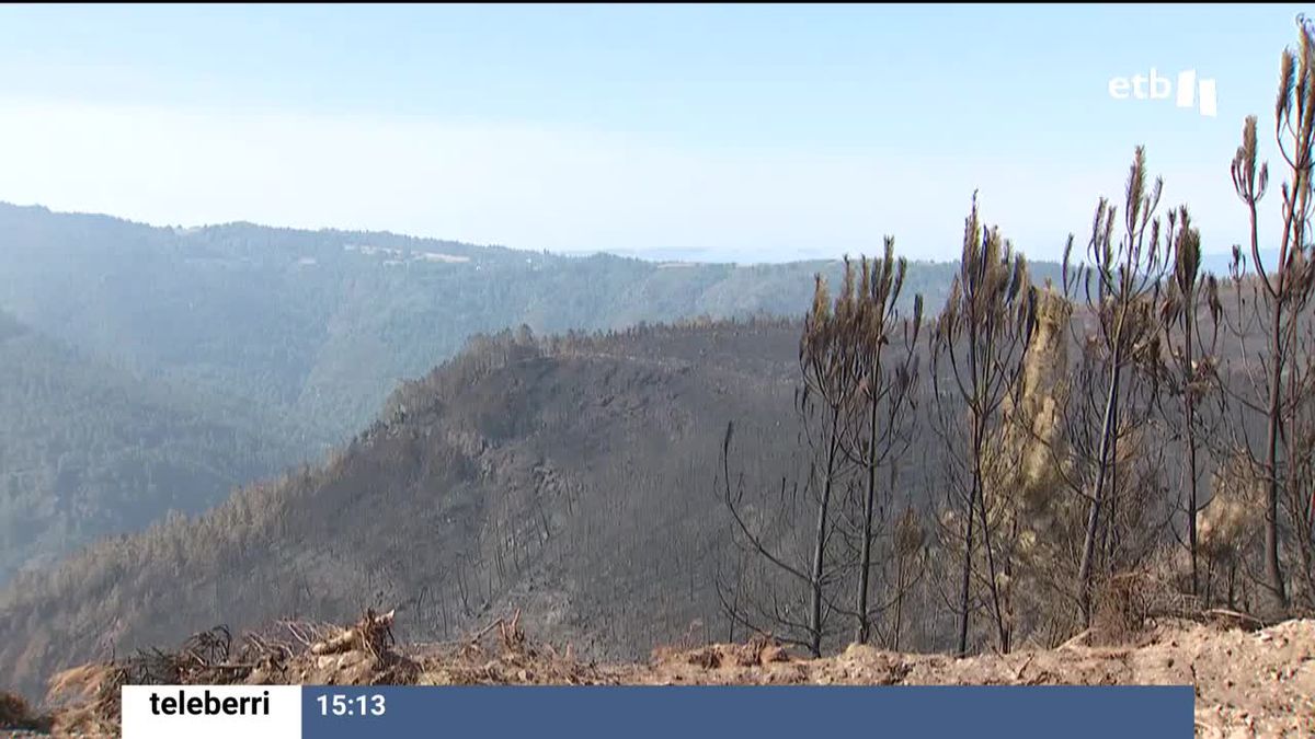 Un incendio forestal. Una foto sacada de un vídeo de EITB Media.