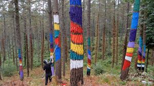 La magia del Bosque Pintado de Oma se traslada y ya contagia