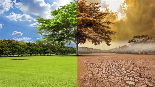 Antes y después de un campo producido por el cambio climático. Foto: EITB Media.