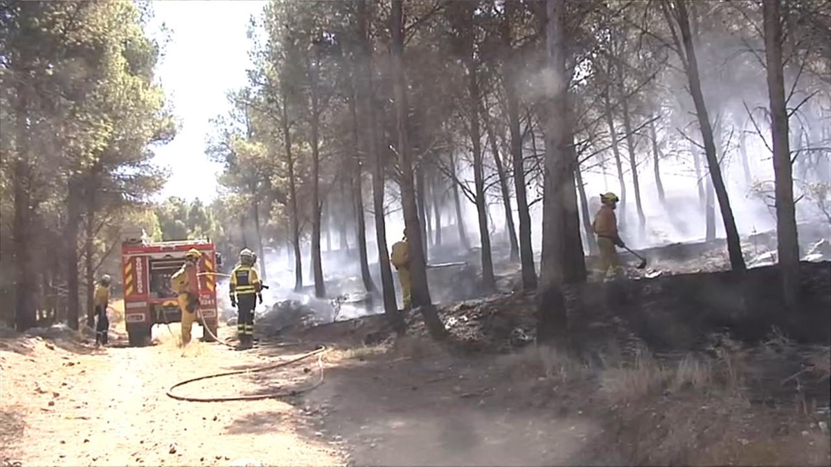 Bomberos trabajan en la extinción del incendio cerca de Moncayo. EFE