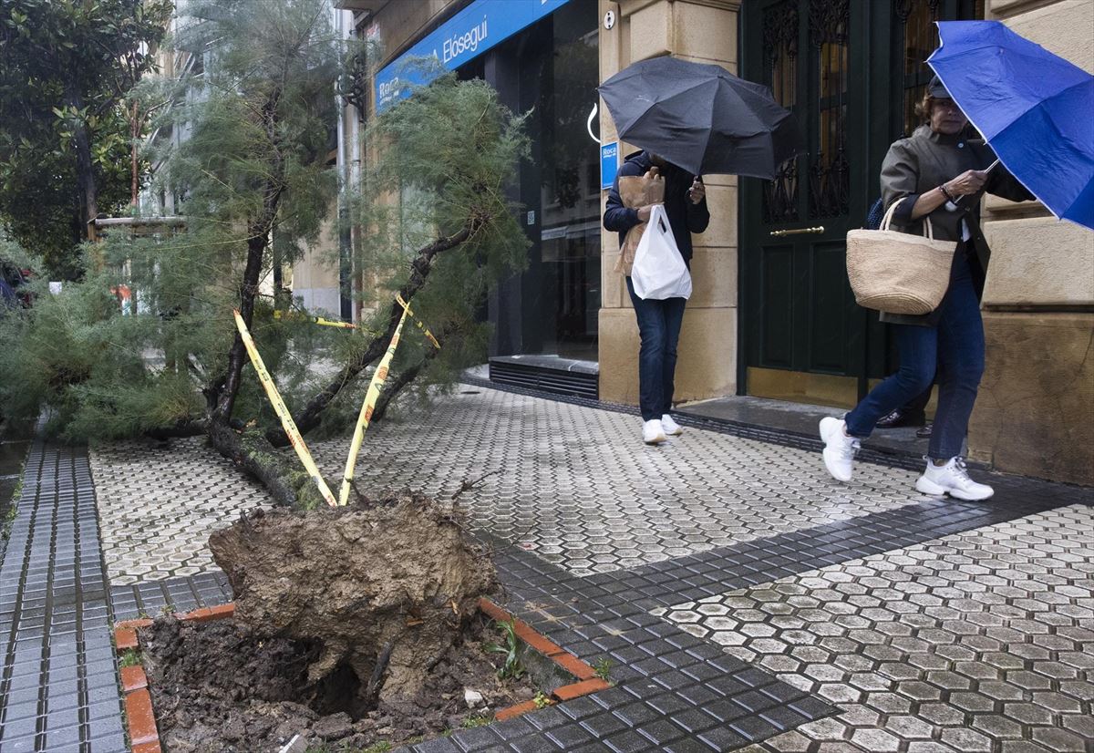 Viento en San Sebastián