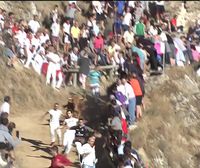 El encierro del Pilón es el único que se hace en Navarra a la antigua usanza: monte a través