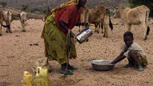 40 años después, Tigray (Etiopía): ante la peor catástrofe humanitaria en la Tierra