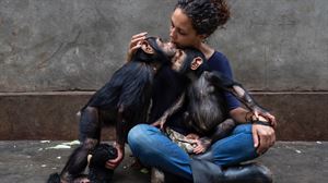 Un santuario para monos y chimpancés huérfanos en el Congo