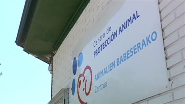 Centro de protección animal