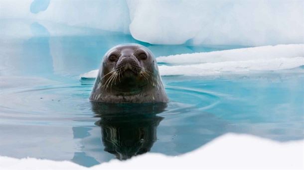 Imagen de la exposición 'Cambio Climático' | Lunwerg Editores