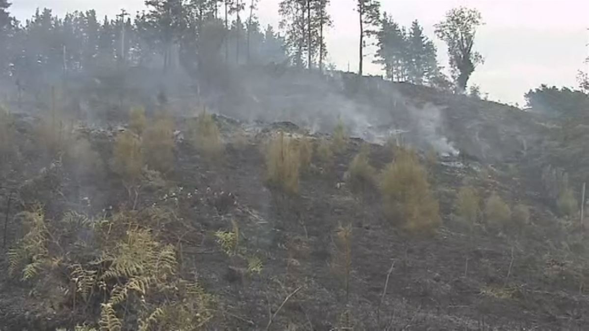 Incendio en Zeberio. Imagen obtenida de un vídeo de EITB Media.