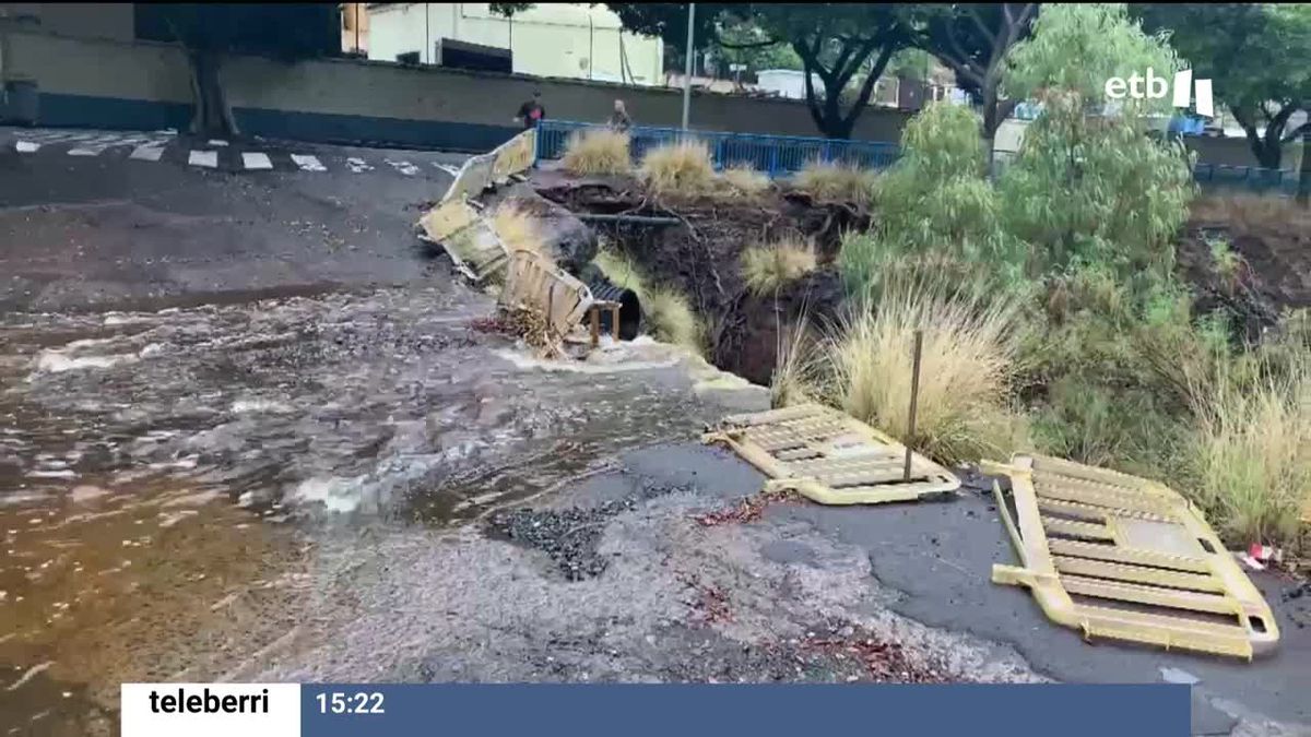 Caída de un árbol en Santa Cruz de Tenerife. Foto: EFE.