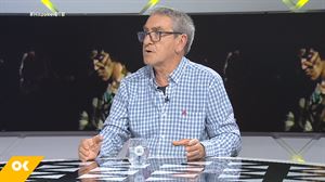 Josu Zabala, Hertzainak: ''Hasi ginenean, garbi geneukan musika euskaraz egin behar genuela''