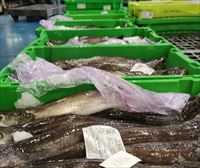 La UE acuerda aumentar un 10,5 % la captura de merluza, hasta las 11 000 toneladas