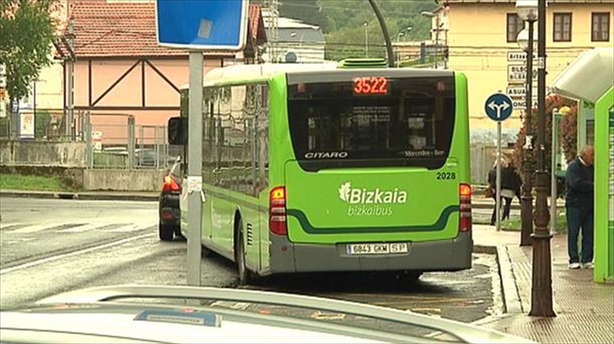 Un autobús de Bizkaibus, en una imagen de archivo. 