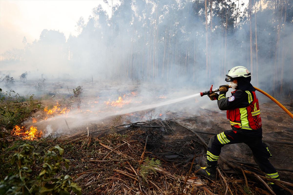 Imagen captada el viernes en el incendio forestal de Berango. Foto: EITB
