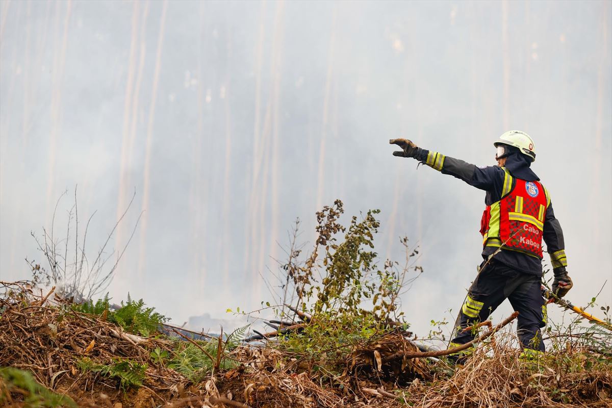 Un bombero trabaja en un incendio en Bizkaia. Foto: Efe