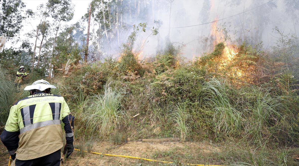 Imagen del incendio de Berango, último en ser extinguido. Foto: EFE. 