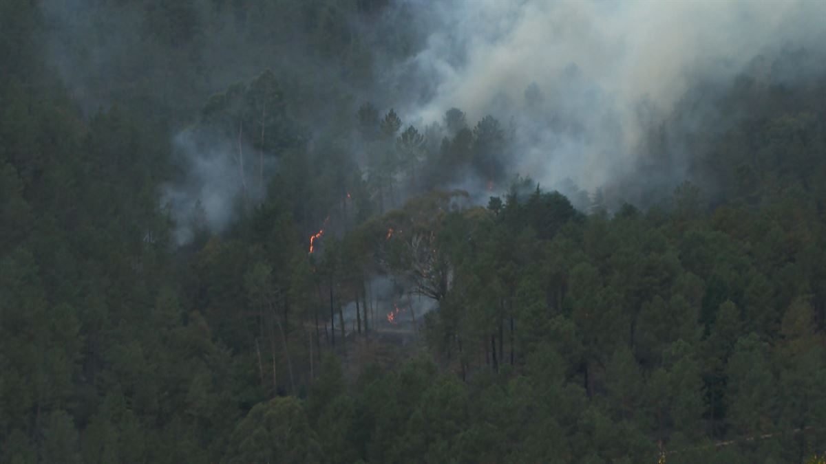 El incendio de La Arboleda está extinguido, pero los bomberos continúan refrescando la zona