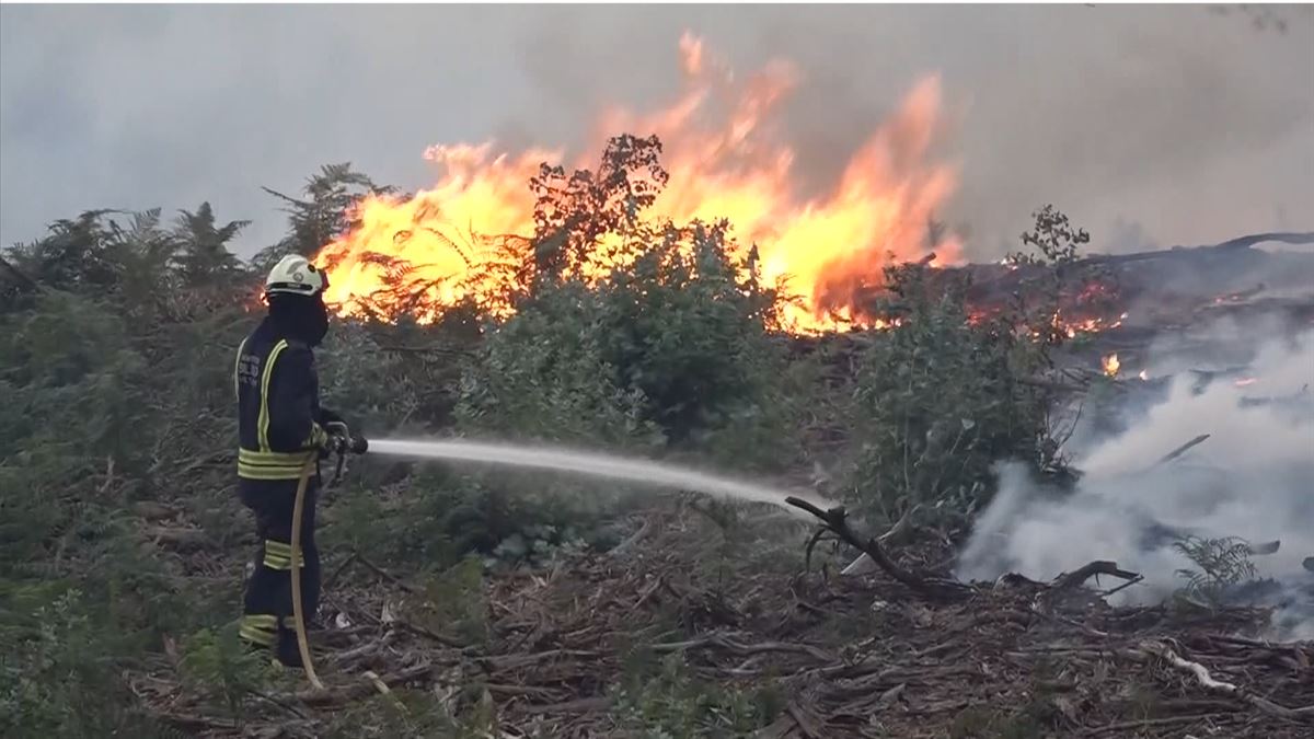 Imagen del incendio de Berango, último en ser extinguido. Foto: EFE. 