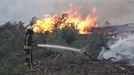 Extinguidos los incendios de Loiu, La Arboleda y Berango