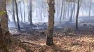 Calcinada una hectárea de terreno en un incendio en Gorbea