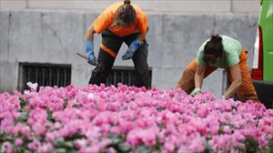 ¿Afectará en Euskadi la decisión de Hacienda de que el SMI tribute en el IRPF?