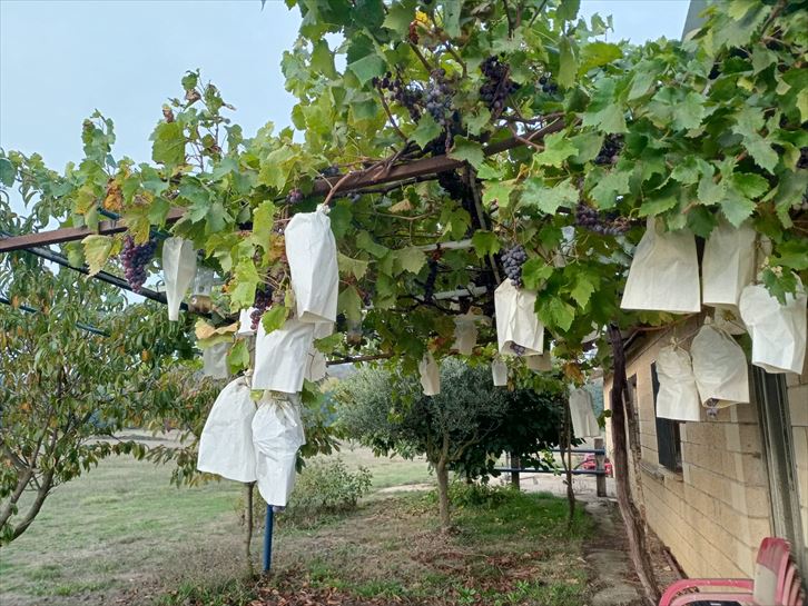 Contaminación en Urrunaga y Goiain