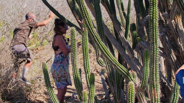 Kaktusak, 10. ataleko probaren protagonistak