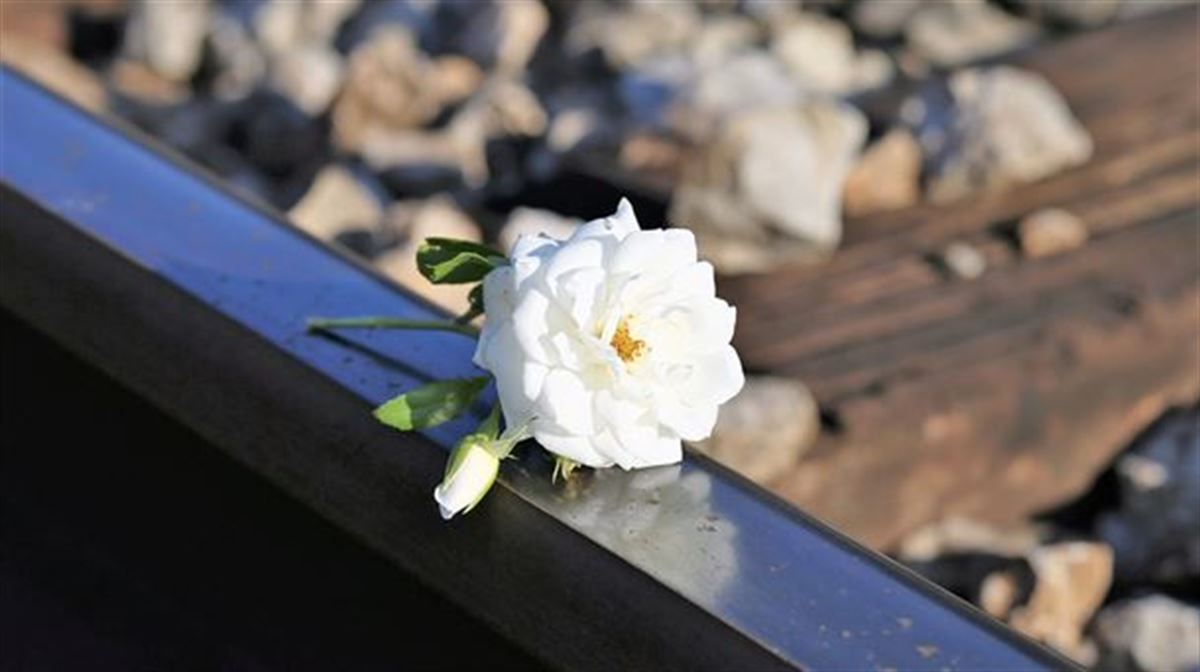 Una flor en las vías del tren. Imagen extraída de un vídeo de EITB MEDIA.