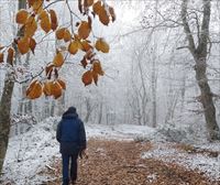 Aviso amarillo por nieve en Álava y Navarra para este lunes