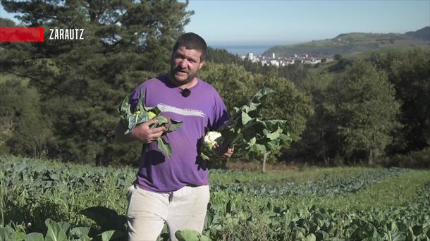 Azalore berdea, morea eta zuria, Zarauzko Ametzola etxean ekoizten dituzten produktu ekologikoetako hiru