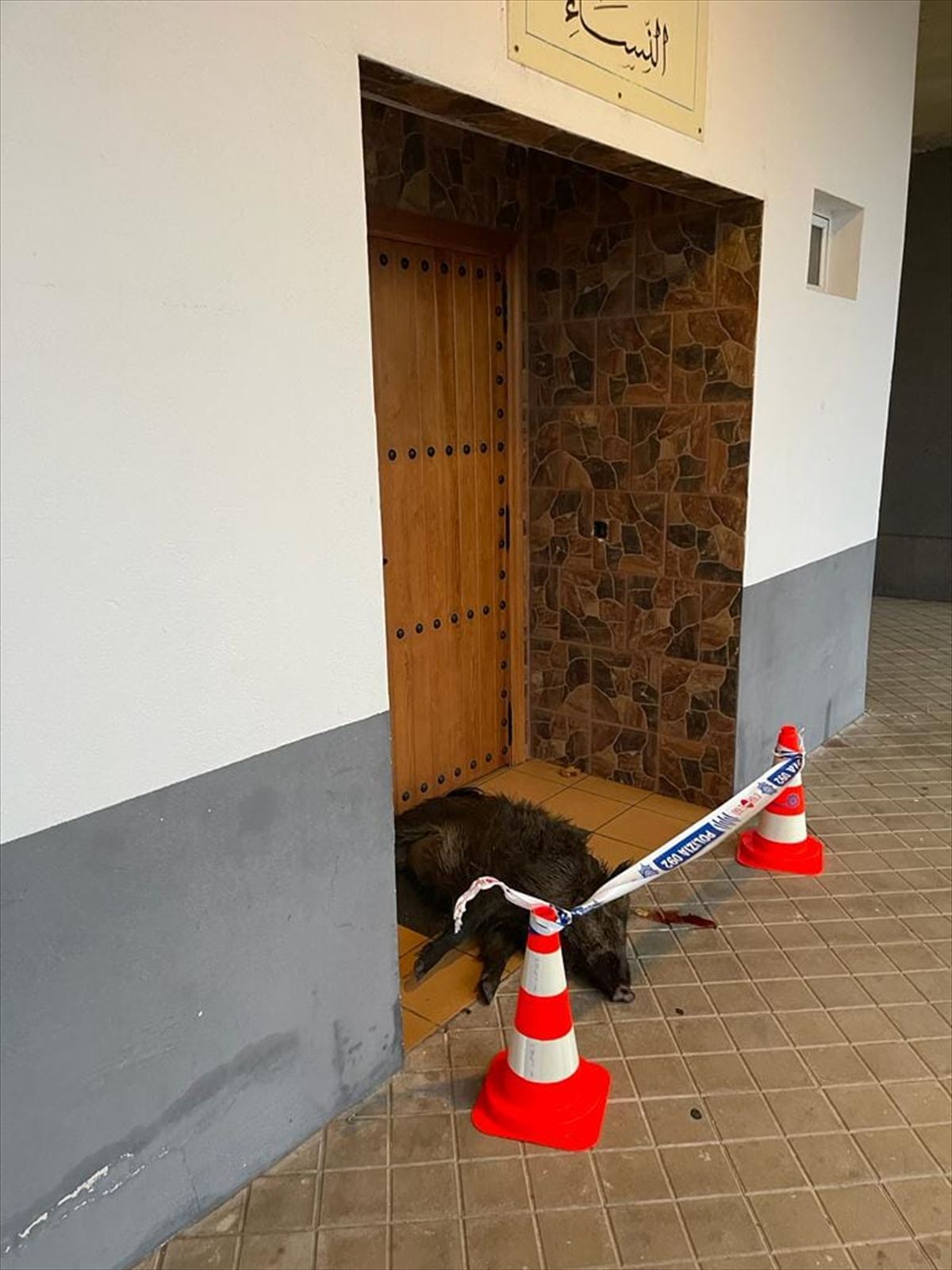 Jabalí muerto en la puerta de una mezquita de Vitoria-Gasteiz.