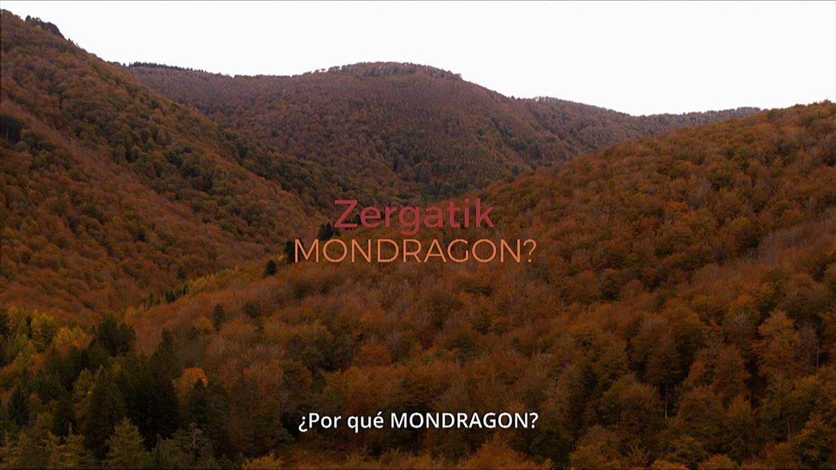 Mondragon Taldea