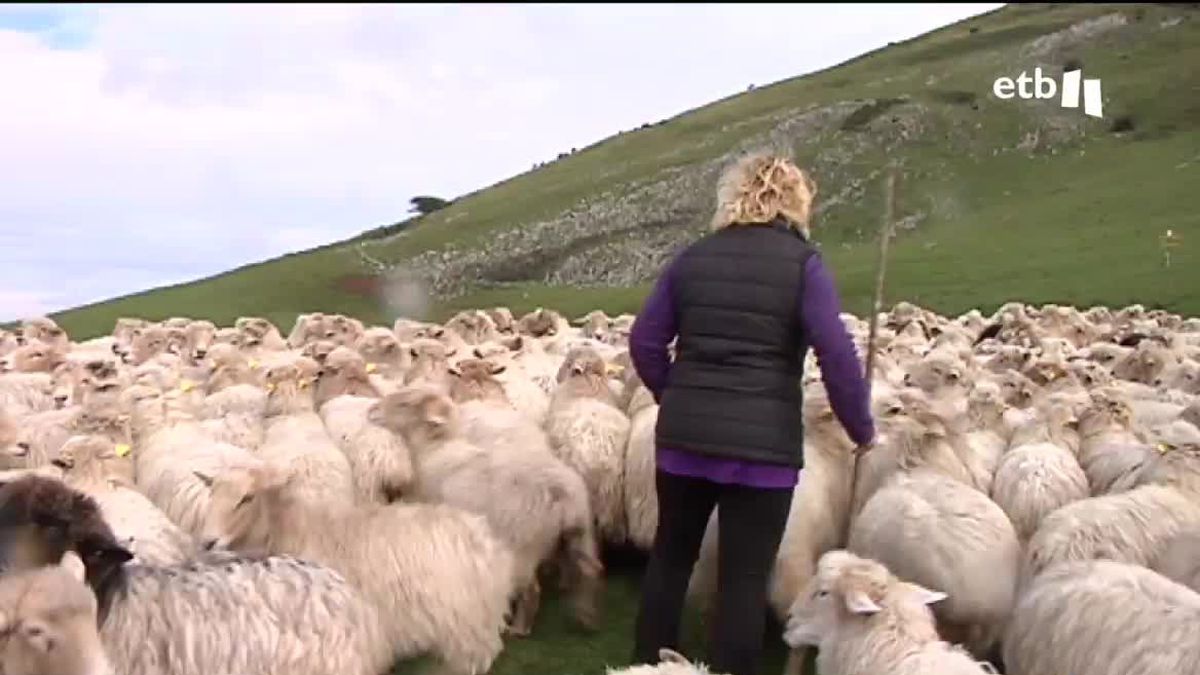 Pastora con ovejas.