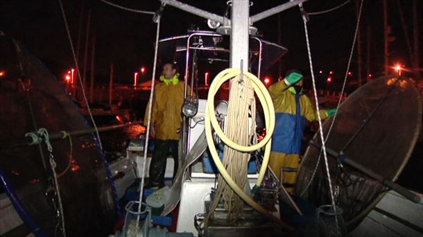Prohibida la pesca deportiva de angula por parte de la Unión Europea